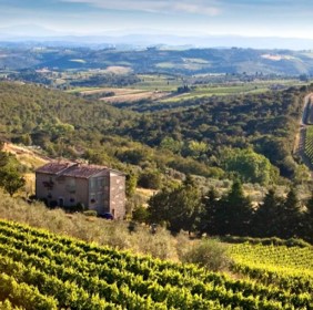 <a id="Solare-Boutique-Italian-Wine-Dinner"></a>Boutique Wine Dinner in Tuscany